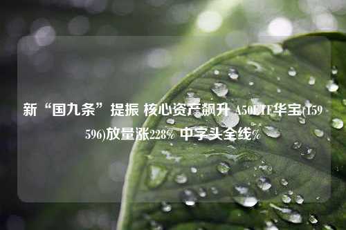 新“国九条”提振 核心资产飙升 A50ETF华宝(159596)放量涨228% 中字头全线%