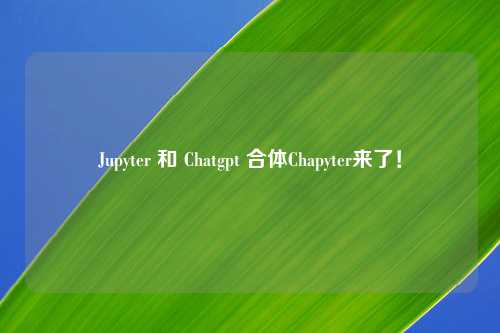 Jupyter 和 Chatgpt 合体Chapyter来了！