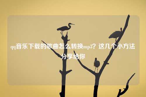 qq音乐下载的歌曲怎么转换mp3？这几个小方法分享给你