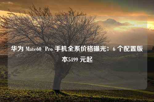 华为 Mate60  Pro 手机全系价格曝光：6 个配置版本5499 元起