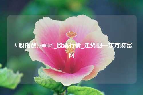 Ａ股指数(000002)_股票行情_走势图—东方财富网