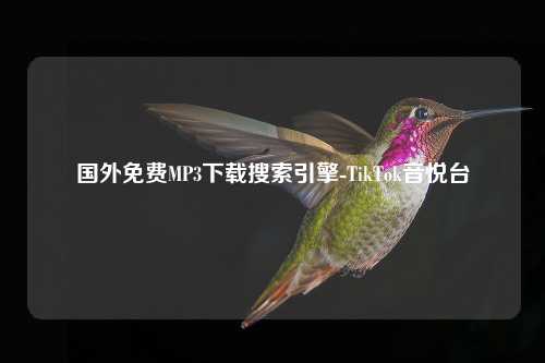 国外免费MP3下载搜索引擎-TikTok音悦台