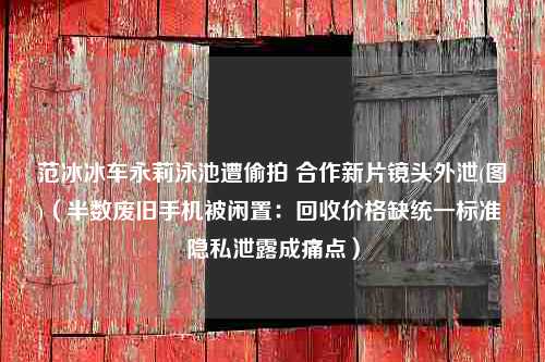 范冰冰车永莉泳池遭偷拍 合作新片镜头外泄(图)（半数废旧手机被闲置：回收价格缺统一标准 隐私泄露成痛点）