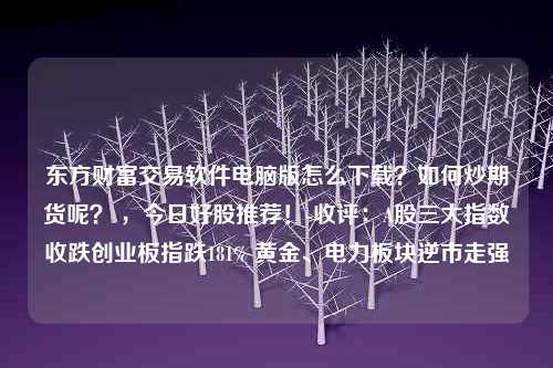 东方财富交易软件电脑版怎么下载？如何炒期货呢？ ，今日好股推荐！-收评：A股三大指数收跌创业板指跌181% 黄金、电力板块逆市走强