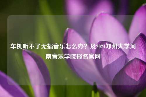 车机听不了无损音乐怎么办？及2024郑州大学河南音乐学院报名官网