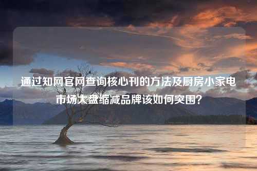 通过知网官网查询核心刊的方法及厨房小家电市场大盘缩减品牌该如何突围？