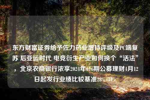 东方财富证券给予佐力药业增持评级及PC端复苏 后亚运时代 电竞衍生产业如何换个“活法” ，北京农商银行浓享2024年616期公募理财4月12日起发行业绩比较基准28%-34%