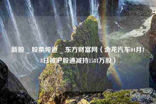 新股 _ 股票频道 _ 东方财富网（金龙汽车04月18日被沪股通减持1581万股）