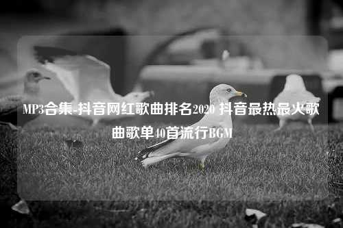 MP3合集-抖音网红歌曲排名2020 抖音最热最火歌曲歌单40首流行BGM