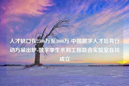 人才缺口在2500万至3000万 中国数字人才培育行动方案出炉-数字孪生水利工程联合实验室在川成立