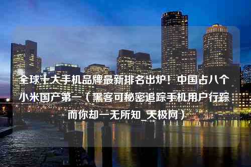 全球十大手机品牌最新排名出炉！中国占八个 小米国产第一（黑客可秘密追踪手机用户行踪 而你却一无所知_天极网）