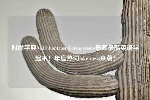 时尚字典No14 Contrast Corsagerset-最潮最酷英语学起来！年度热词fake news来袭！