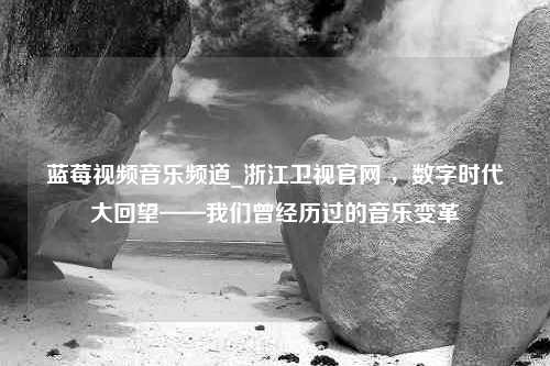 蓝莓视频音乐频道_浙江卫视官网 ，数字时代大回望——我们曾经历过的音乐变革