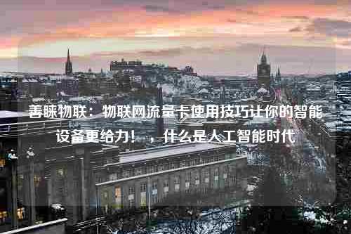 善睐物联：物联网流量卡使用技巧让你的智能设备更给力！ ，什么是人工智能时代