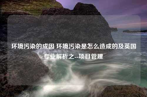 环境污染的成因 环境污染是怎么造成的及英国专业解析之--项目管理