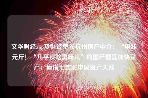 文华财经app及财经早参杭州房产中介：“电线元斤！“几乎没啥臭味儿”的国产榴莲加快量产；道指七连涨中国资产大涨