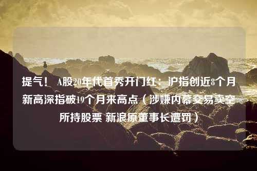 提气！ A股20年代首秀开门红：沪指创近8个月新高深指破19个月来高点（涉嫌内幕交易卖空所持股票 新浪原董事长遭罚）