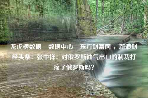 龙虎榜数据 _ 数据中心 _ 东方财富网 ，新浪财经头条：张中祥：对俄罗斯油气出口的制裁打疼了俄罗斯吗？