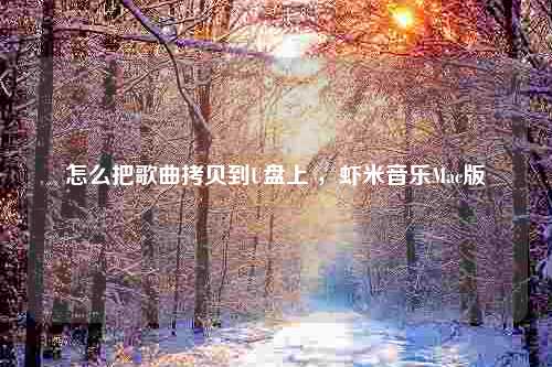 怎么把歌曲拷贝到U盘上 ，虾米音乐Mac版