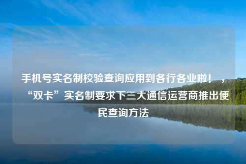 手机号实名制校验查询应用到各行各业啦！ ，“双卡”实名制要求下三大通信运营商推出便民查询方法