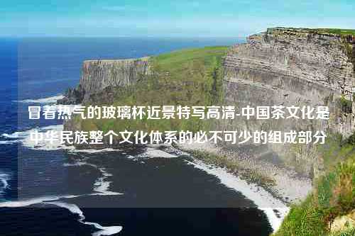 冒着热气的玻璃杯近景特写高清-中国茶文化是中华民族整个文化体系的必不可少的组成部分