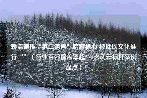 赖清德推“第二语言”暗藏祸心 被批以文化推行“”（行业百强覆盖率超20%玄武云标杆案例盘点）