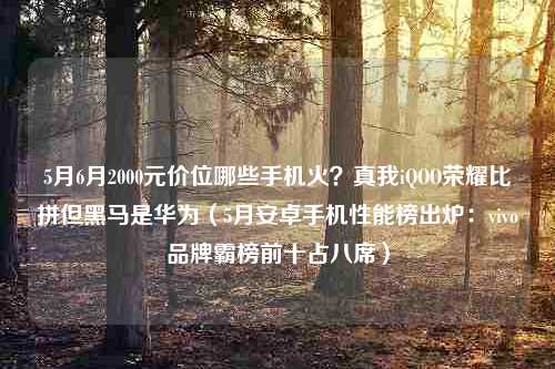 5月6月2000元价位哪些手机火？真我iQOO荣耀比拼但黑马是华为（5月安卓手机性能榜出炉：vivo品牌霸榜前十占八席）