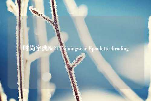 时尚字典No21 Eveningwear Epaulette Grading