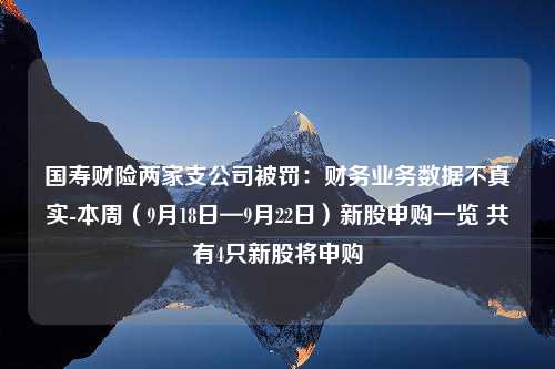 国寿财险两家支公司被罚：财务业务数据不真实-本周（9月18日—9月22日）新股申购一览 共有4只新股将申购