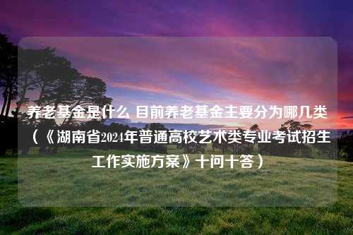 养老基金是什么 目前养老基金主要分为哪几类（《湖南省2024年普通高校艺术类专业考试招生工作实施方案》十问十答）