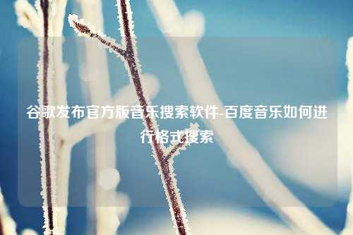 谷歌发布官方版音乐搜索软件-百度音乐如何进行格式搜索