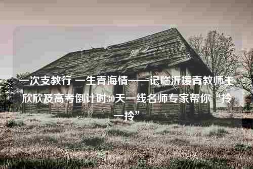 一次支教行 一生青海情——记临沂援青教师王欣欣及高考倒计时30天一线名师专家帮你“拎一拎”