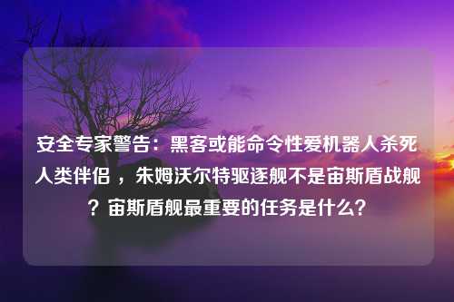 安全专家警告：黑客或能命令性爱机器人杀死人类伴侣 ，朱姆沃尔特驱逐舰不是宙斯盾战舰？宙斯盾舰最重要的任务是什么？