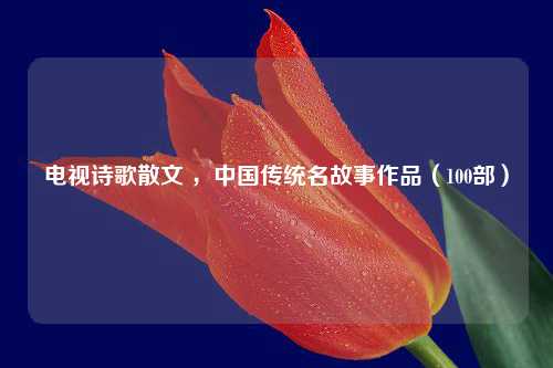 电视诗歌散文 ，中国传统名故事作品（100部）