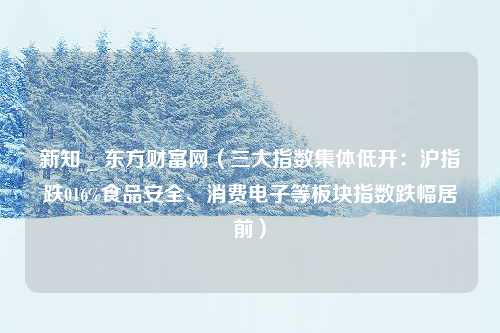 新知 _ 东方财富网（三大指数集体低开：沪指跌016%食品安全、消费电子等板块指数跌幅居前）