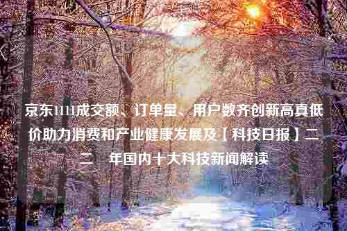 京东1111成交额、订单量、用户数齐创新高真低价助力消费和产业健康发展及【科技日报】二〇二〇年国内十大科技新闻解读