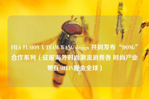 FILA FUSION X TEAM WANG design 共同发布“DONG”合作系列（征服海外时尚潮流消费者 时尚产业带在SHEIN掘金全球）