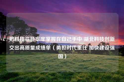 把科技命脉牢牢掌握在自己手中 湖北科技创新交出高质量成绩单（勇担时代重任 加快建设强国）