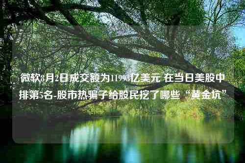 微软8月2日成交额为11993亿美元 在当日美股中排第5名-股市热骗子给股民挖了哪些“黄金坑”