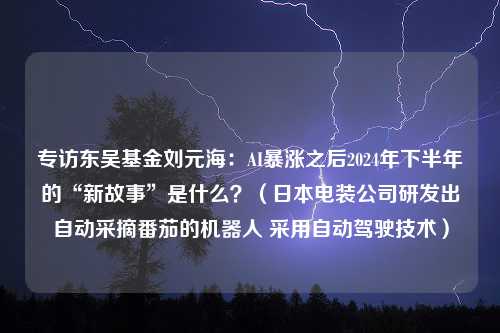 专访东吴基金刘元海：AI暴涨之后2024年下半年的“新故事”是什么？（日本电装公司研发出自动采摘番茄的机器人 采用自动驾驶技术）