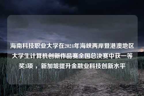 海南科技职业大学在2024年海峡两岸暨港澳地区大学生计算机创新作品赛全国总决赛中获一等奖3项 ，新加坡提升金融业科技创新水平