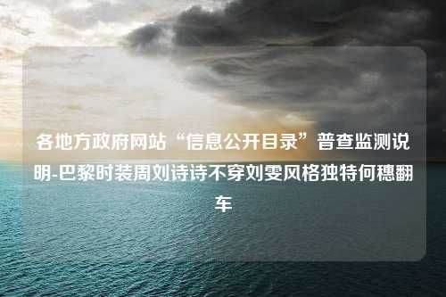 各地方政府网站“信息公开目录”普查监测说明-巴黎时装周刘诗诗不穿刘雯风格独特何穗翻车