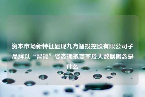 资本市场新特征显现九方智投控股有限公司子品牌以“智能”姿态拥抱变革及大数据概念是什么