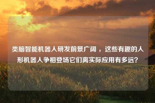 类脑智能机器人研发前景广阔 ，这些有趣的人形机器人争相登场它们离实际应用有多远？