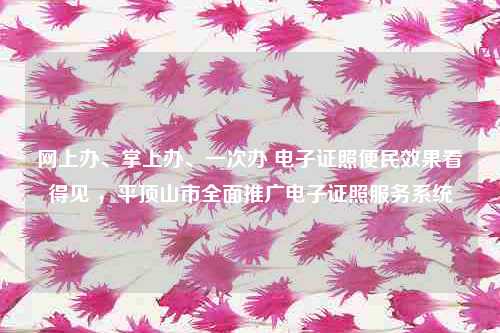 网上办、掌上办、一次办 电子证照便民效果看得见 ，平顶山市全面推广电子证照服务系统