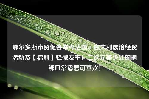 鄂尔多斯市贸促会举办法国、意大利展洽经贸活动及【福利】轻微发车！二次元美少女的捆绑日常诸君可喜欢！