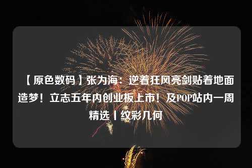 【原色数码】张为海：逆着狂风亮剑贴着地面造梦！立志五年内创业板上市！及POP站内一周精选丨纹彩几何