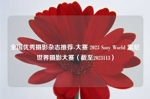 全国优秀摄影杂志推荐-大赛 2023 Sony World 索尼世界摄影大赛（截至2023113）