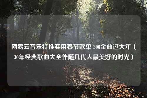 网易云音乐特推实用春节歌单 300金曲过大年（30年经典歌曲大全伴随几代人最美好的时光）