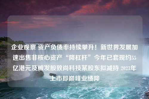 企业观察 资产负债率持续攀升！新世界发展加速出售非核心资产“降杠杆”今年已套现约55亿港元及破发股致尚科技某股东拟减持 2023年上市即巅峰业绩降